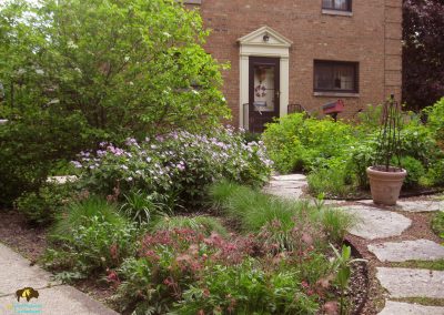 Elmhurst Project – Native plants, wildlife habitat, rain garden, and paths for exploration in this townhome landscape