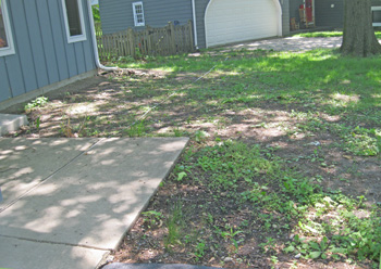 before photo
