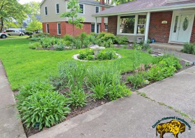 Naperville Front Landscape with oak, soft landing, rain garden