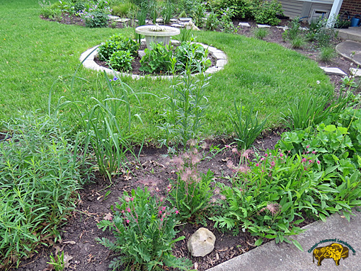 Naperville Front Landscape   in Spring